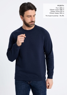 Свитшот унисекс STAN футер с начёсом 260, 53