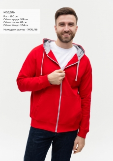 Толстовка мужская STAN с капюшоном на молнии футер без начёса 260, 61