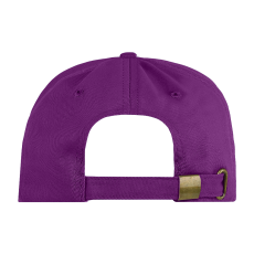 Бейсболка STAN 5 клиньев хлопок 260, 12