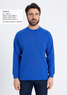 Свитшот унисекс STAN футер с начёсом 220, 60