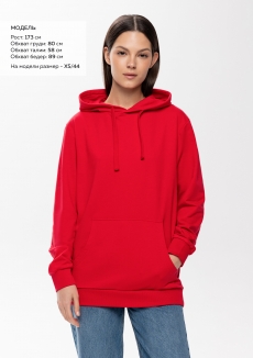 Худи унисекс STAN футер без начёса 260, 23