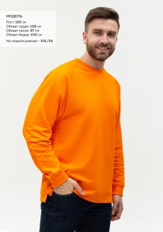 Свитшот унисекс STAN футер с начёсом 220, 60