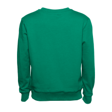 Свитшот детский STAN футер без начёса, 260, 63J