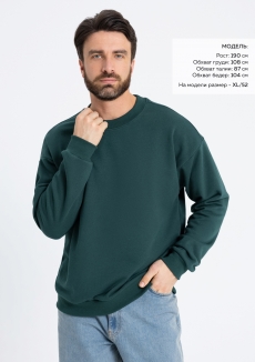 Свитшот унисекс STAN футер без начёса, 350, 96