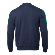 Костюм спортивный мужской STAN футер без начёса, 245, 300