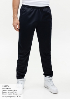 Брюки мужские STAN полиэстер, 260, 94