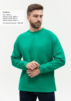 Свитшот унисекс STAN футер с начёсом 220, 60